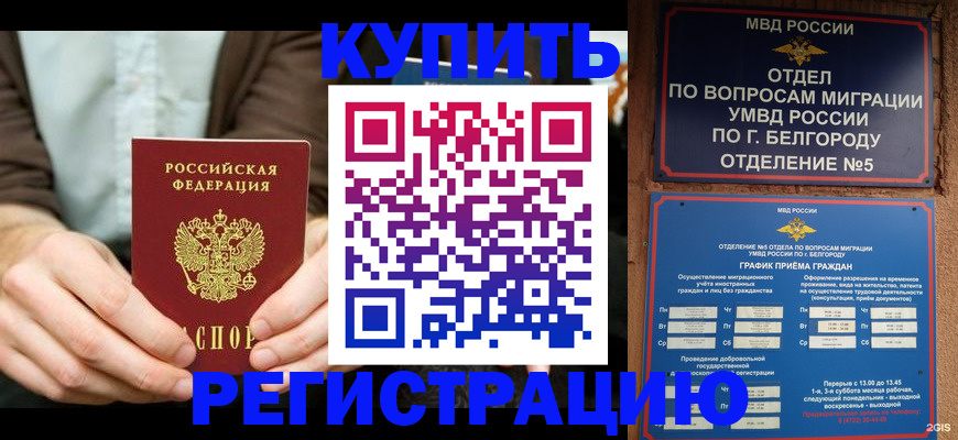 прописка 2025 в Долгопрудном